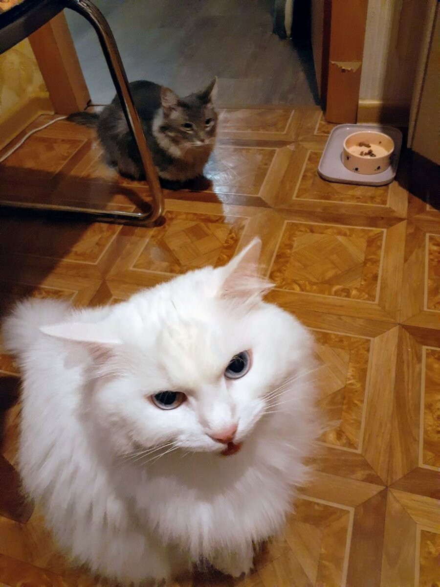 Красавица Люся и Стеша (на заднем плане)