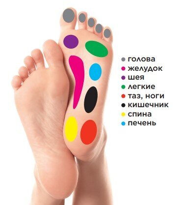 Активные зоны стоп взрослого человека