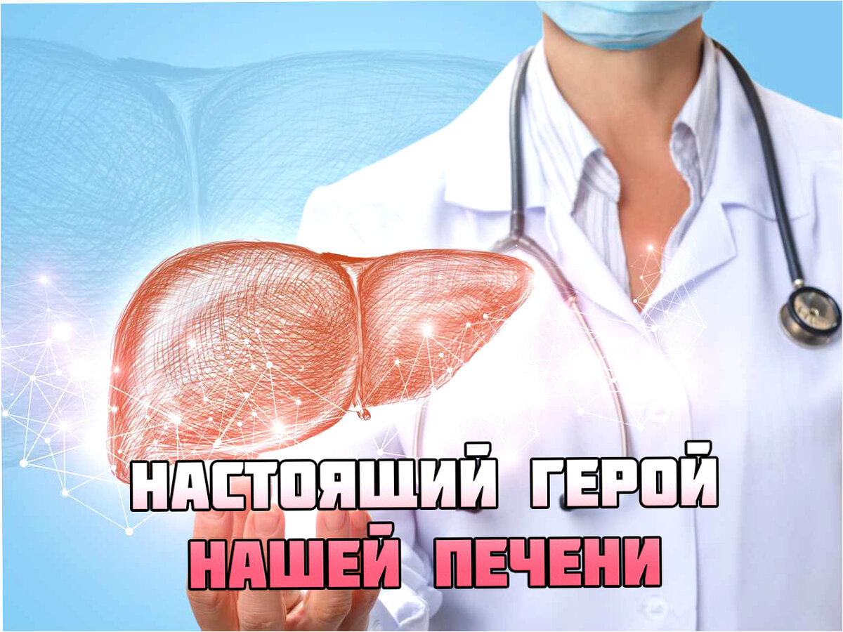 Эффективный защитник печени от ожирения и заболеваний: доступное ...