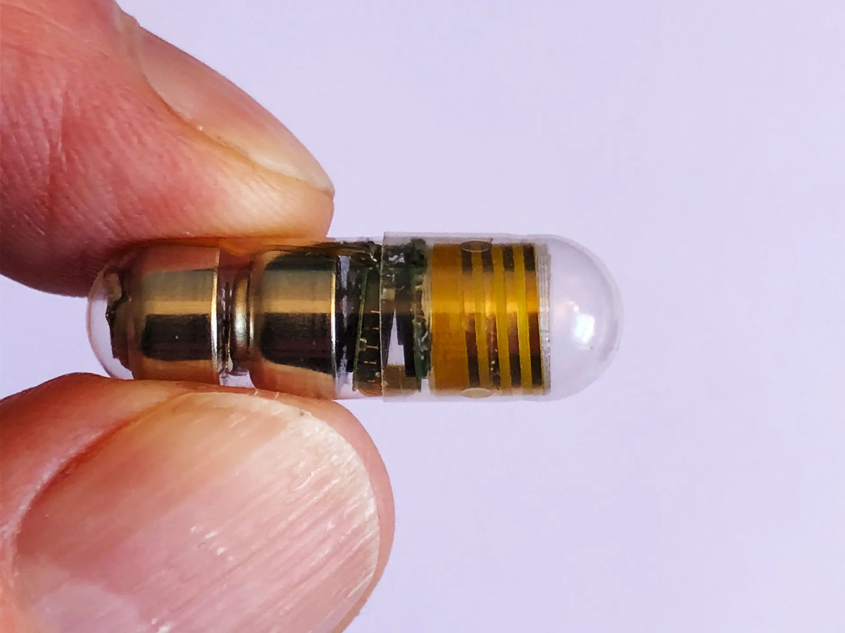 ФОТОГРАФИЯ: БЕН ПЛЕСС