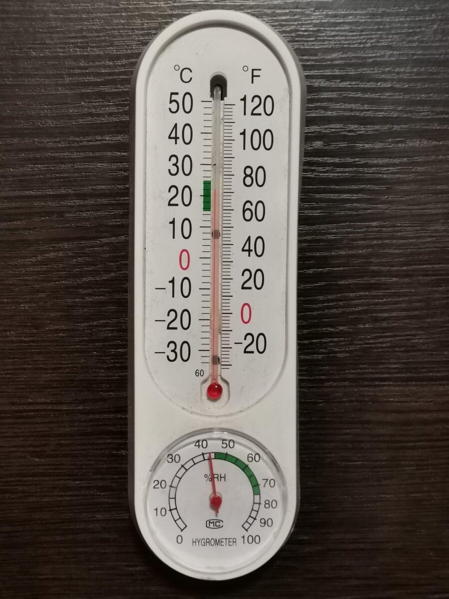 Как правильно сохранить семена овощей и цветов до посева. | В САДУ ...