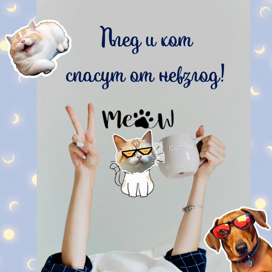 Братья наши меньшие всегда рядом, когда нам плохо или холодно 🙂, гиф создан автором статьи