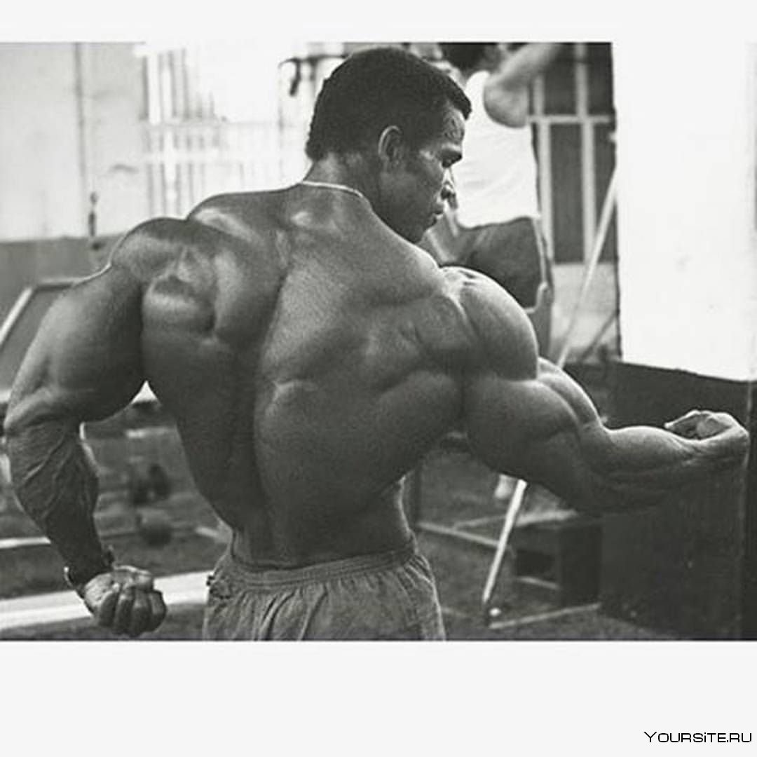 Источник фотографии: Яндекс картинки 
