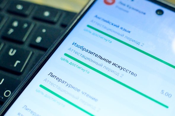    Электронный дневник. Фото: Мел