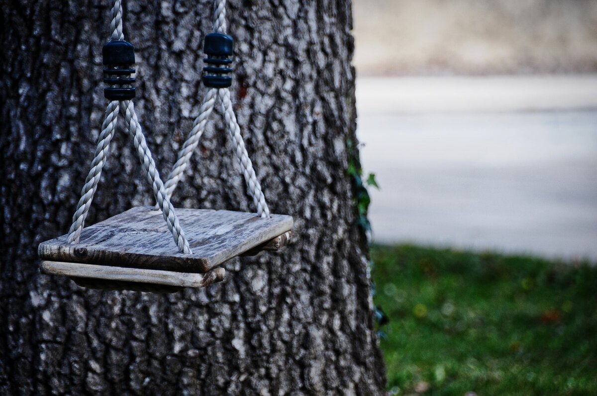 Grégory ROOSE с сайта Pixabay