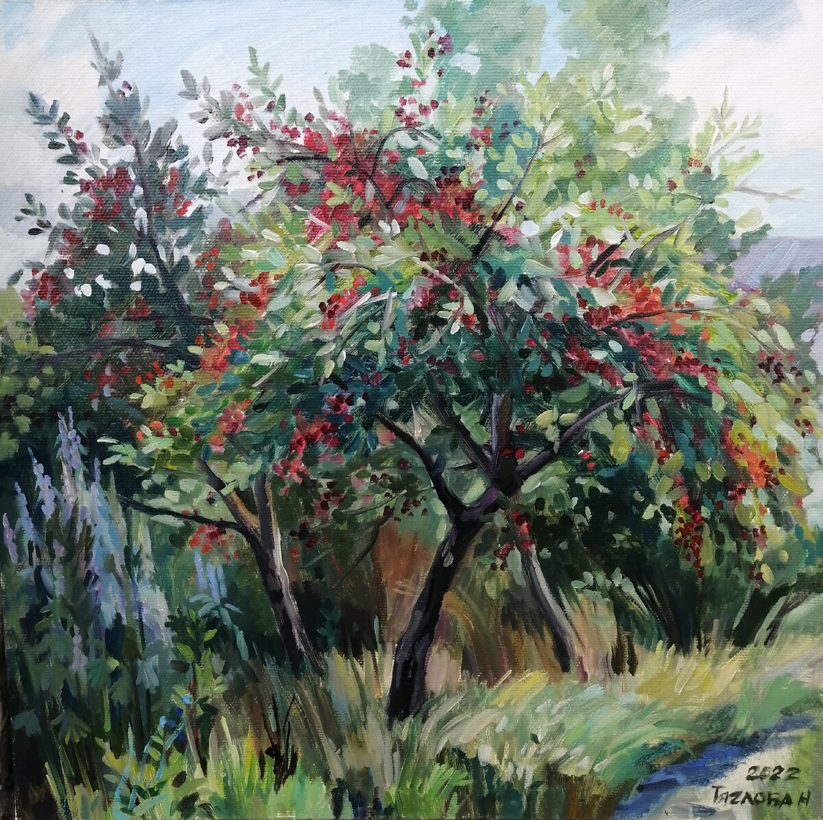 Тяглова  Наталья "Вишня".