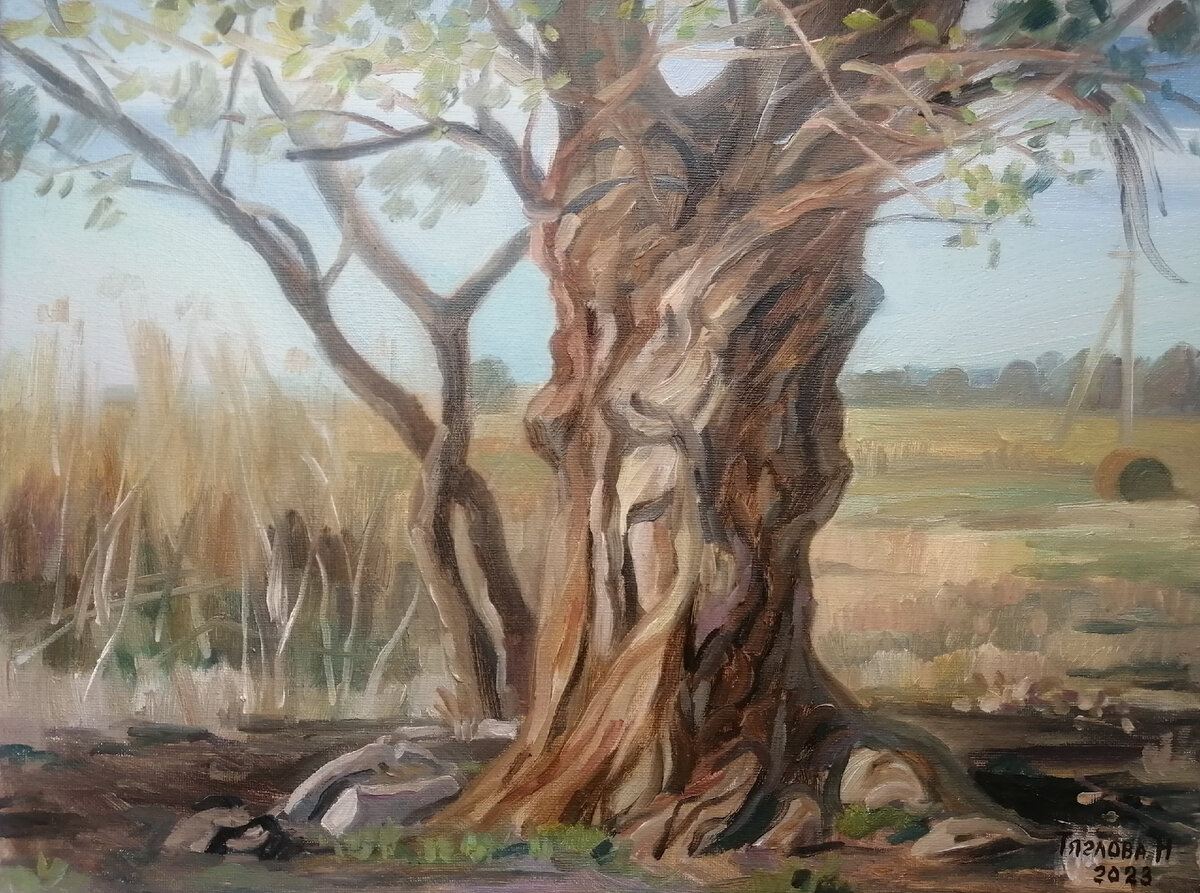 Тяглова Наталья. " Старый тополь".
