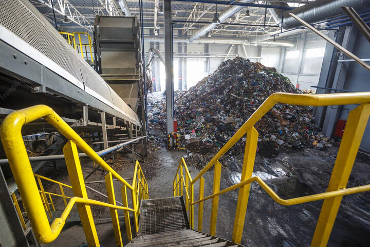 Фото:freepik.com 