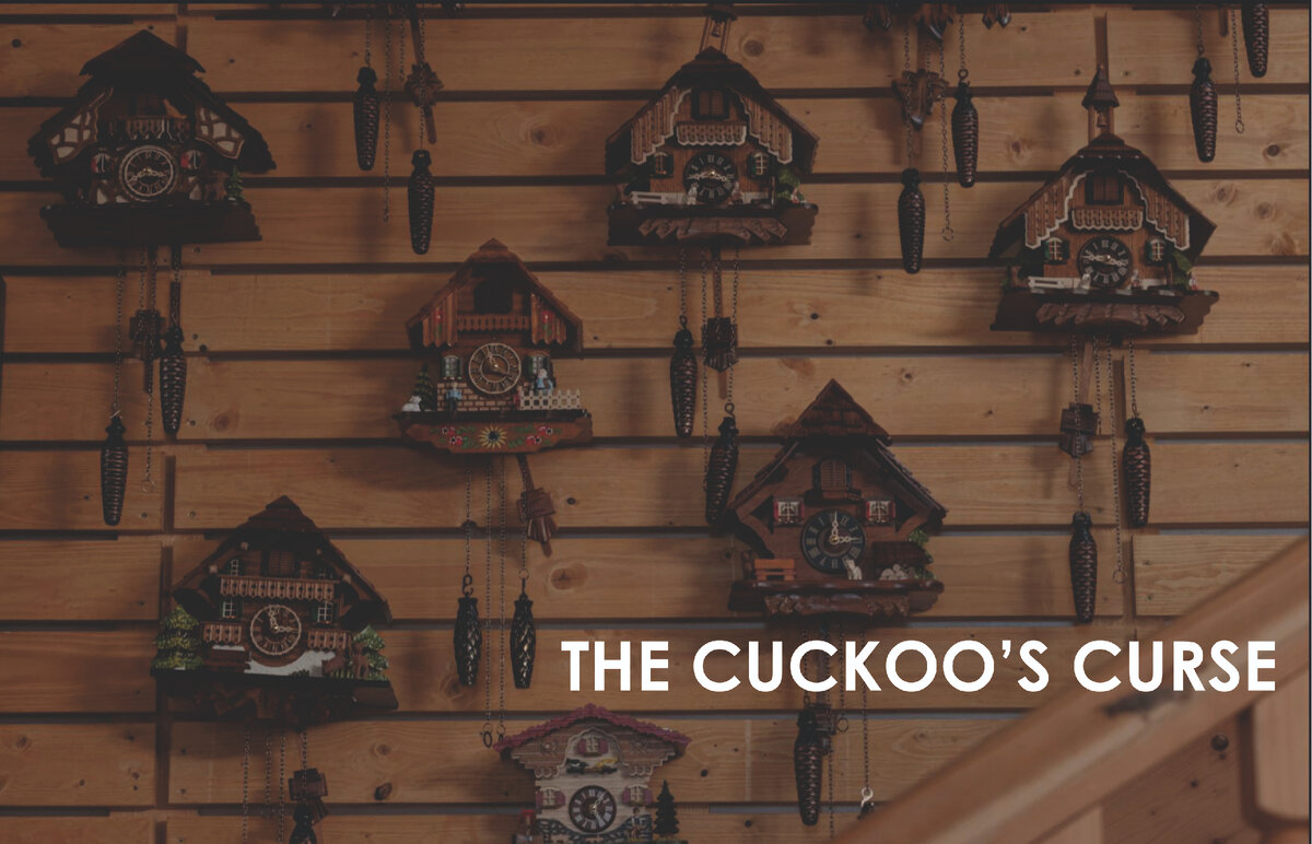 Фото заимствована из сайта https://www.kinopoisk.ru/film/1399724/stills/page/1/