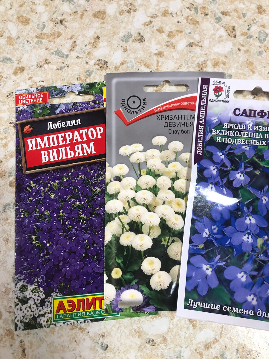 семена, фото автора