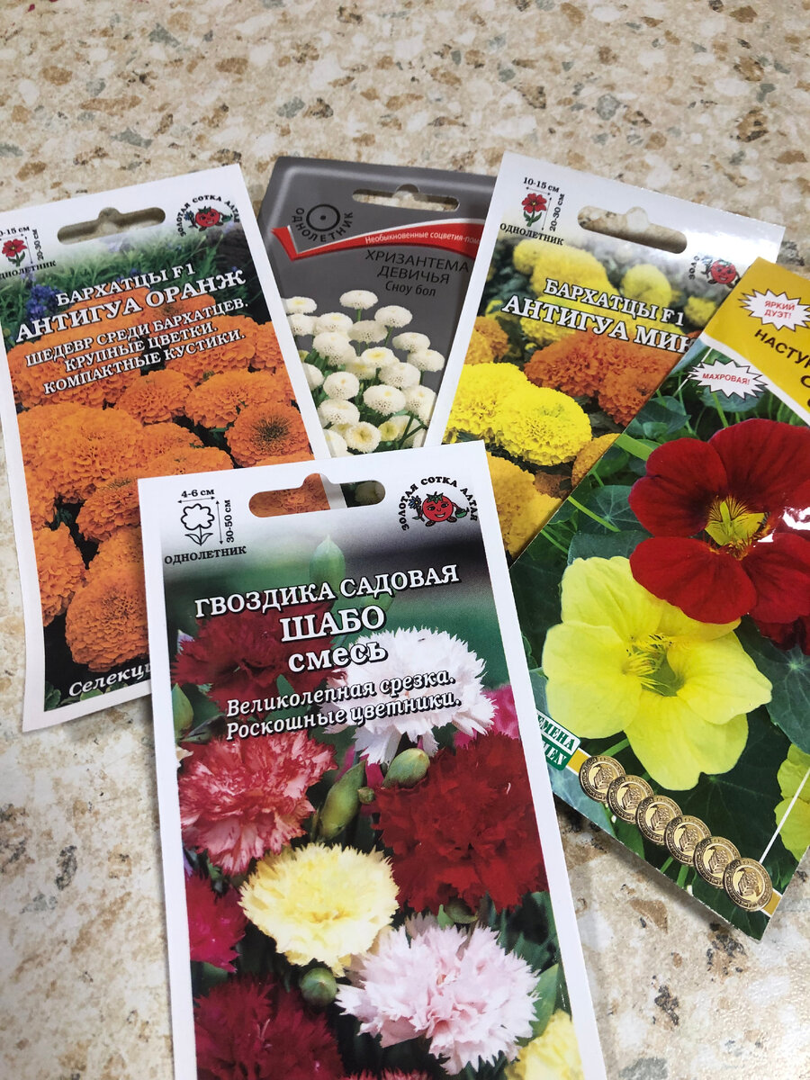 семена, фото автора