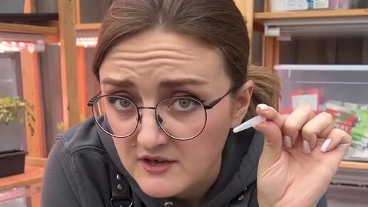 Семена Алтая. Дачные советы от Виктории Карелиной | НЕ КОВЫРЯЙТЕ ...