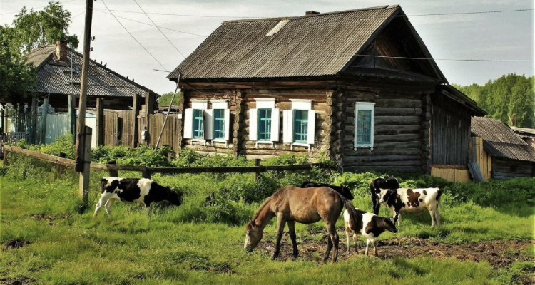 Деревенская жизнь…