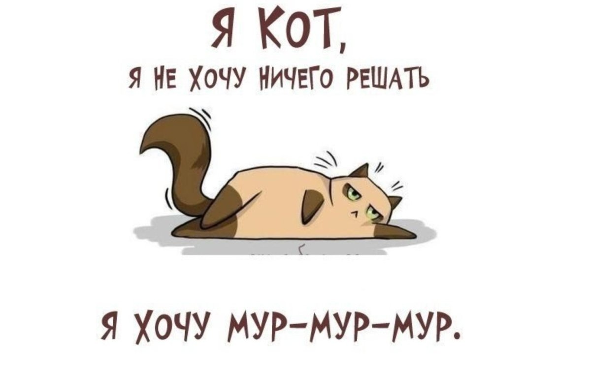 Мур утро. Хочу Мур Мур. Не хочу ничего решать. Ничего не хочу хочу Мур Мур. Я не хочу ничего решать я