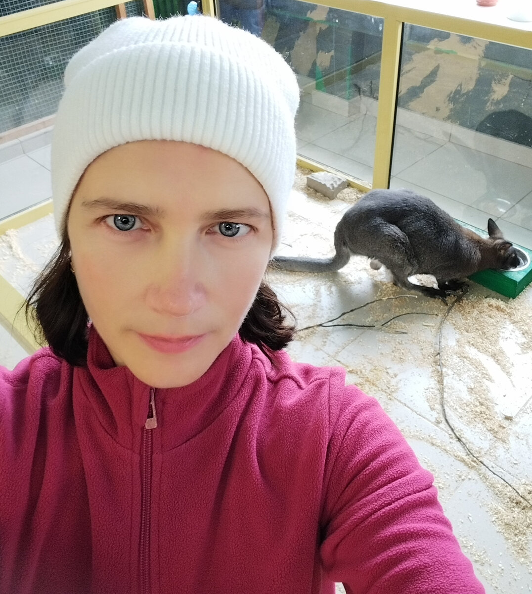 Кенгуру в контактном зоопарке, такой же неуместный, как мой вопрос. Ему там жутко неудобно и тесно.