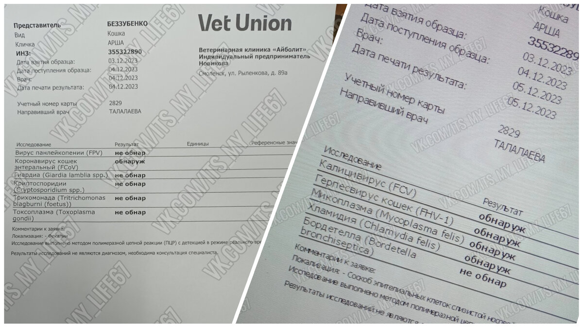 Пенсионерка-живодёрка устроила в квартире "чёрный питомник" | Crazy ...