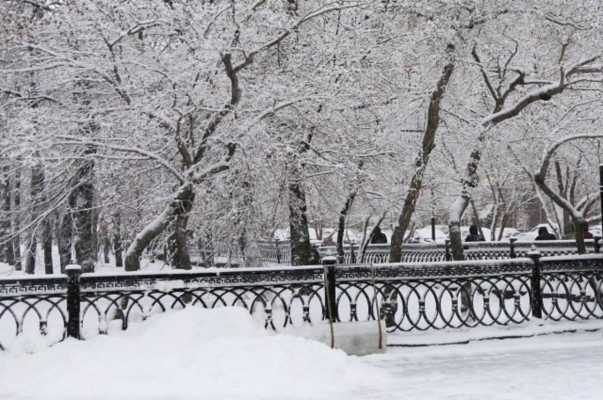    В Новосибирске обещают 40-градусные морозы в эти выходные