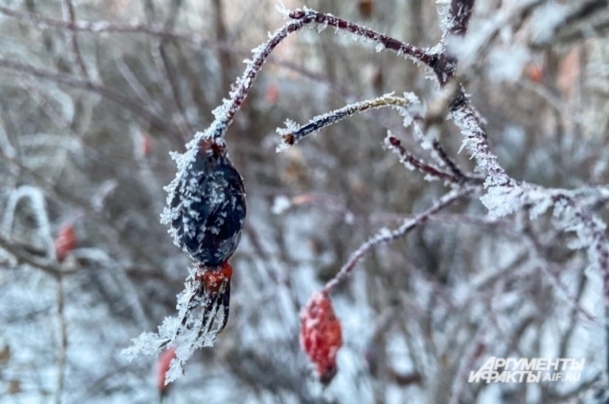    На Красноярский край надвигаются 50-градусные морозы