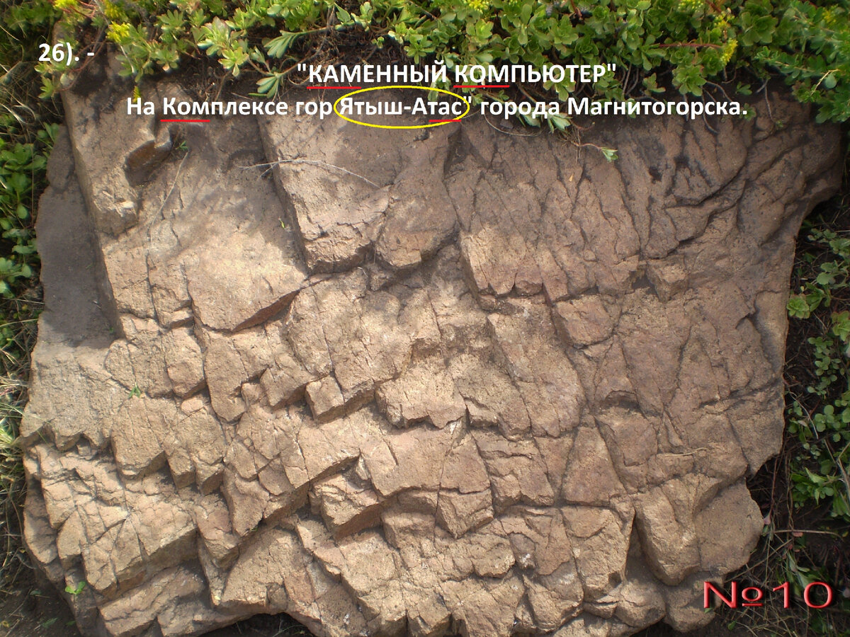 ФОТО автора.