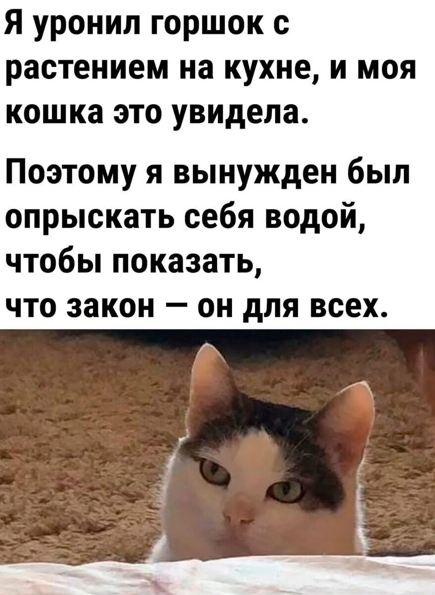 Русский солдат трахает украинскую блядь в лесу во время службы