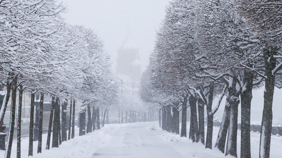 © Форпост Северо-Запад / Павел Долганов