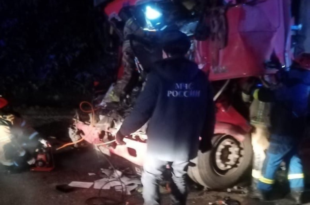    В Малопургинском районе у грузовика перемёрзла топливная система.