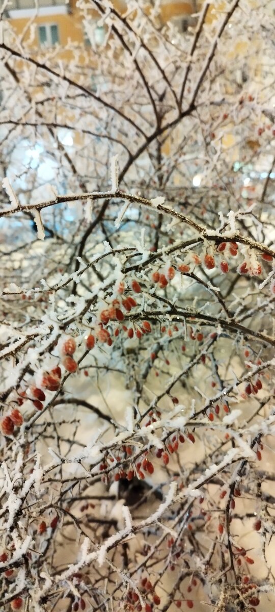 Ну не красота ли? 