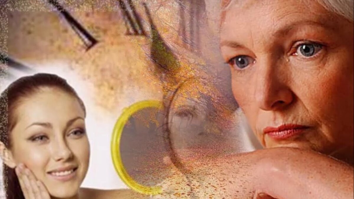 фото из интернета