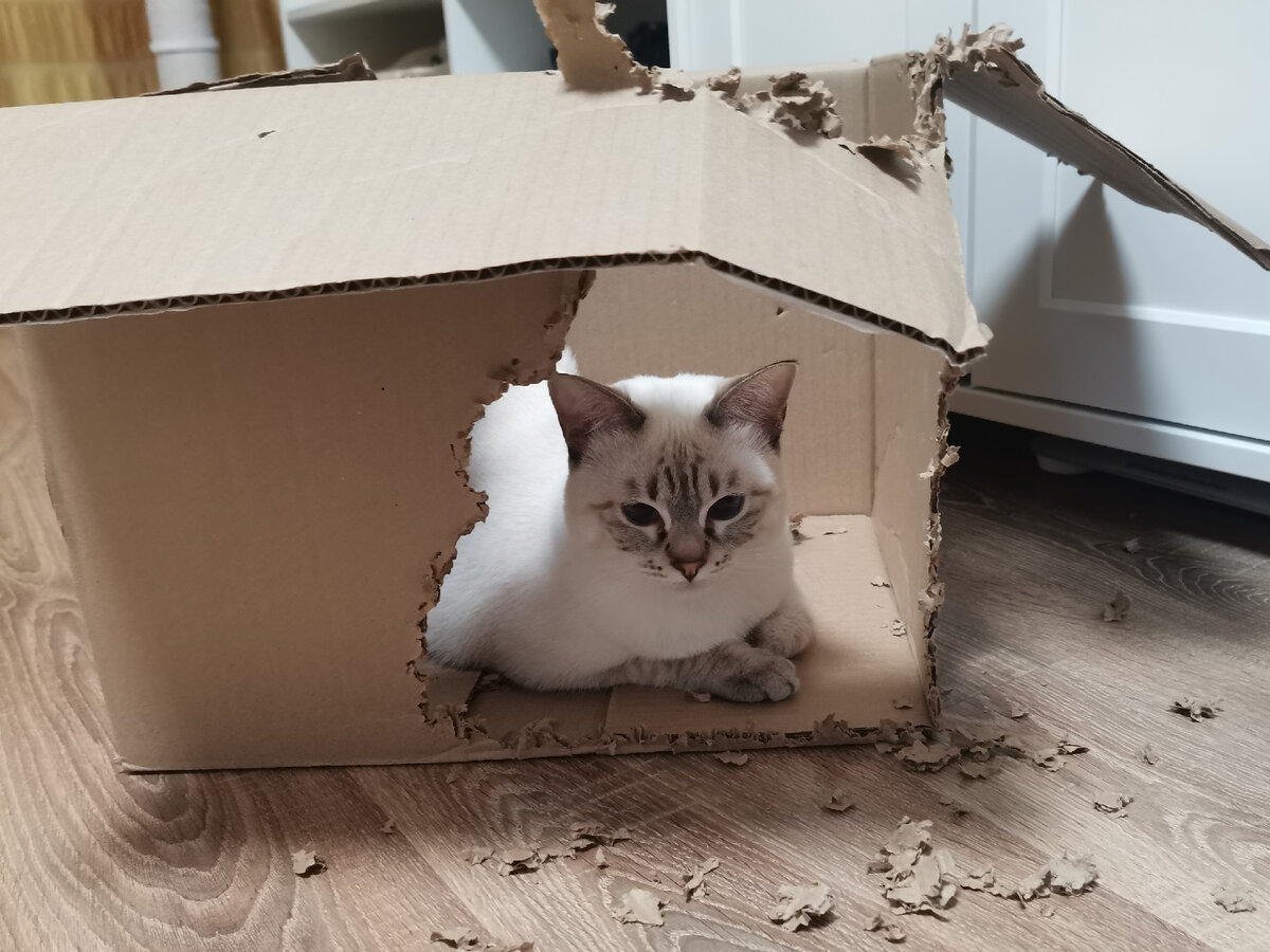 Дыра уже приличная 😂