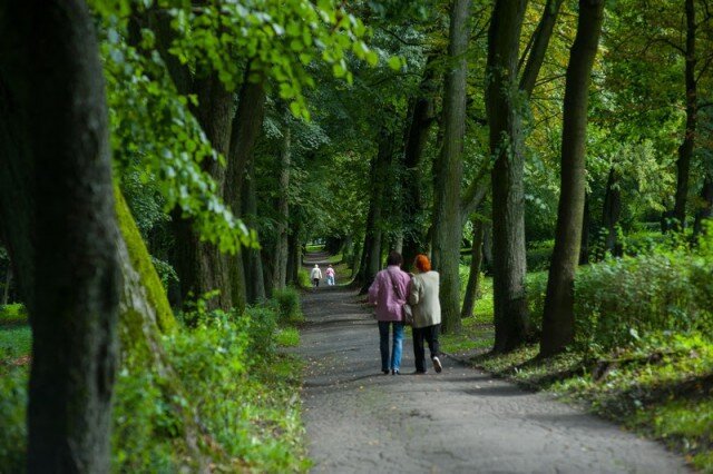   Фото: Калининград.Ru