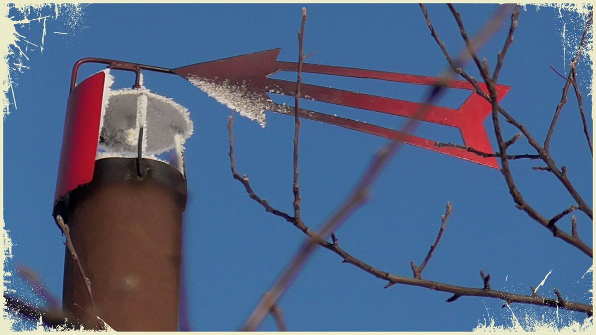 По флюгеру на гараже соседа, определяю направление ветра, а по наличию инея можно судить о температуре воздуха. В гараже теплее...