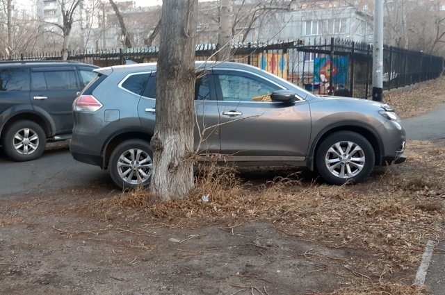    В Волгограде и области могут увеличить штрафы за парковку на зеленых зонах?