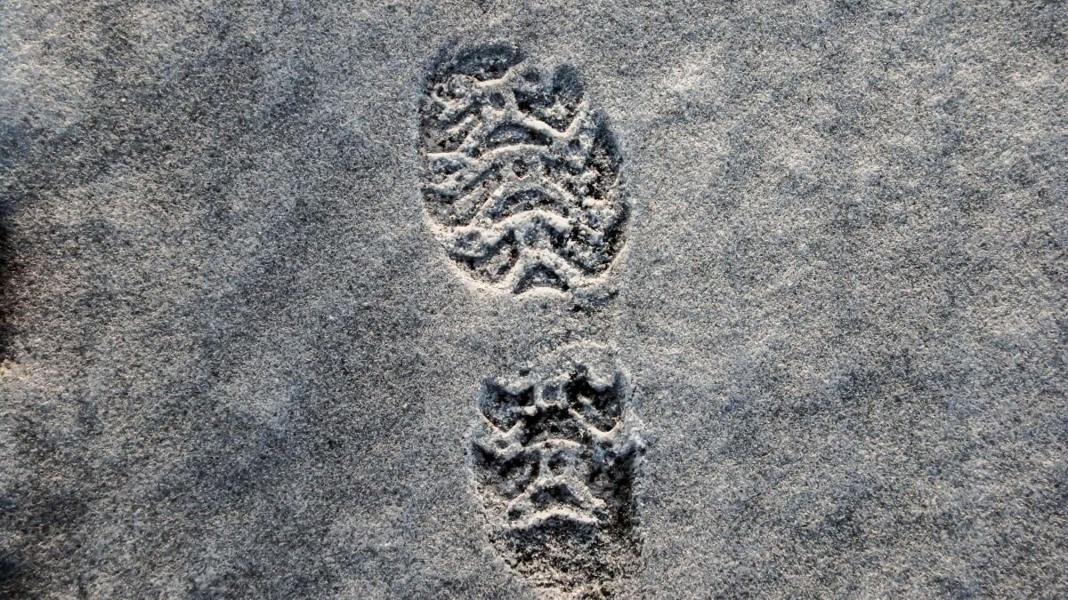 Фото: Виталий Барабаш