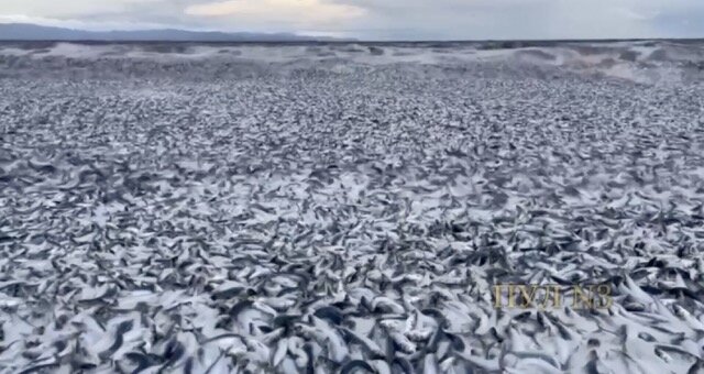 ФОТО: СКРИНШОТ ИЗ ВИДЕО ТГ-КАНАЛА "ПУЛ N3"