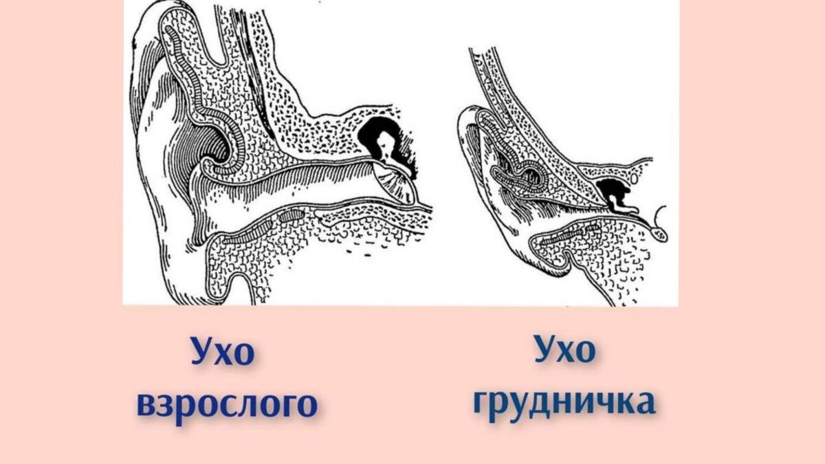 Вода попала в ухо