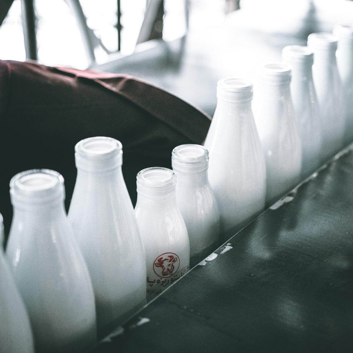 С 01.12.2023 стала обязательной передача сведений в систему маркировки «Честный знак» об обороте и выбытии молочной продукции и упакованной воды для государственных и муниципальных учреждений.