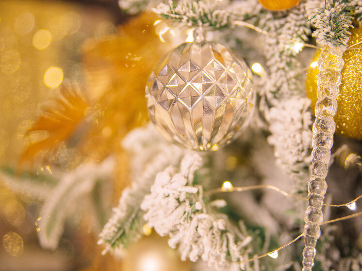     КУДА СХОДИТЬ И ГДЕ ОТМЕТИТЬ НОВЫЙ ГОД 2024 В ХАБАРОВСКЕ / Ольга Григорьева