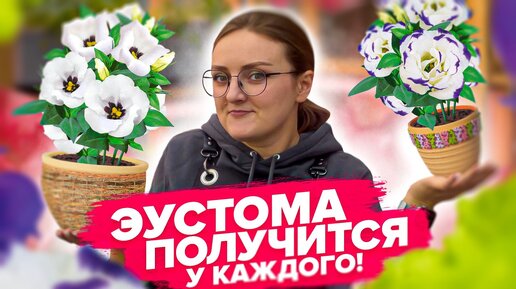 ТАК ЭУСТОМА ЗАЦВЕТЕТ РАНО! Секреты посева #семенаалтая