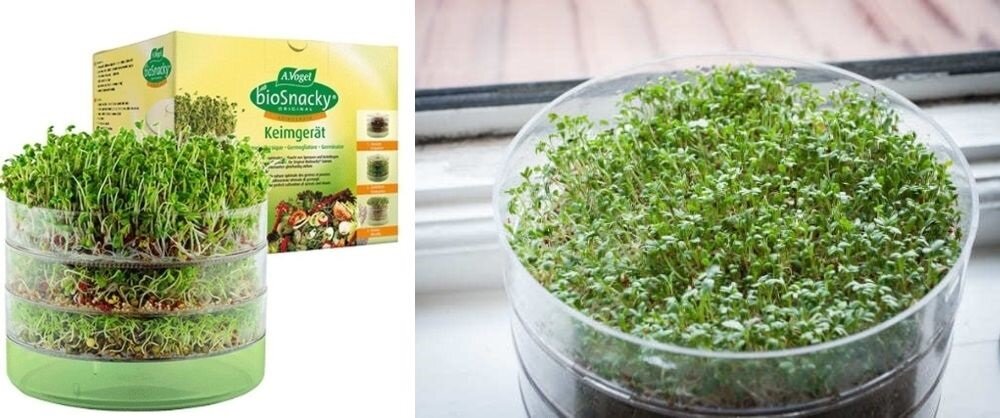 Проращиватель A.Vogel Keimgerat bioSnacky