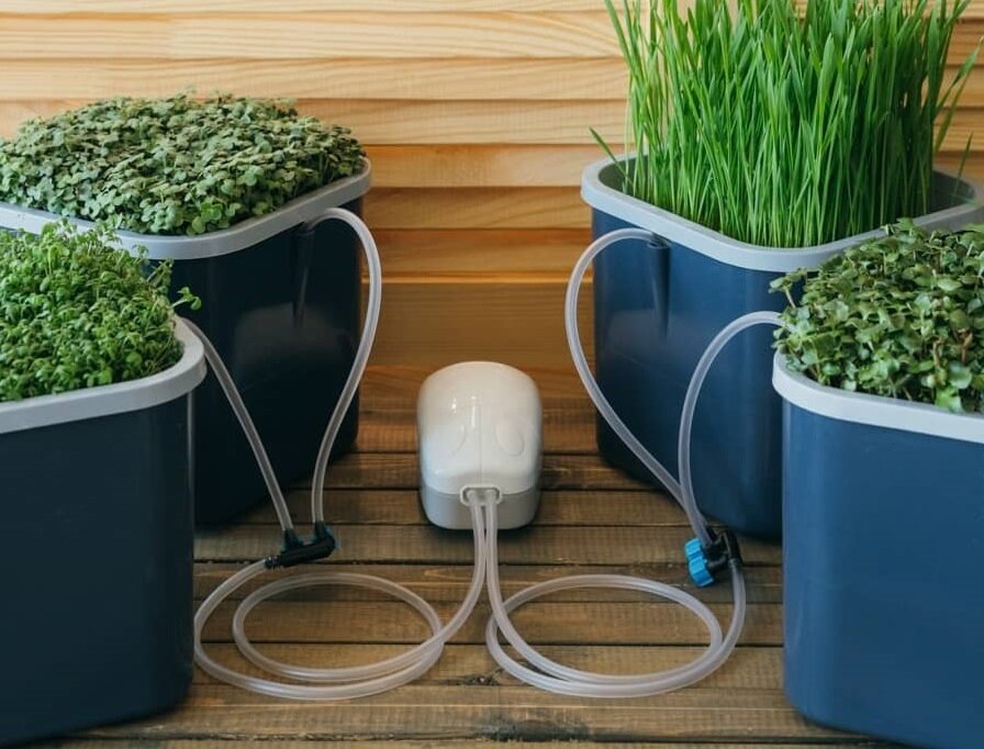 Проращиватель Здоровья Клад графит (4-х модульный)