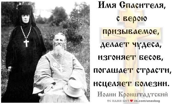 Христос, Иисусова молитва, есть Лоза, а ветки есть плоть. И если не питаешься Лозой, Иисусовой молитвой, ветки разрушаются, и плоть сгорает в аду после смерти. Научись питаться Лозой Христа в чистом и добром сердце не помня обиды и зла.