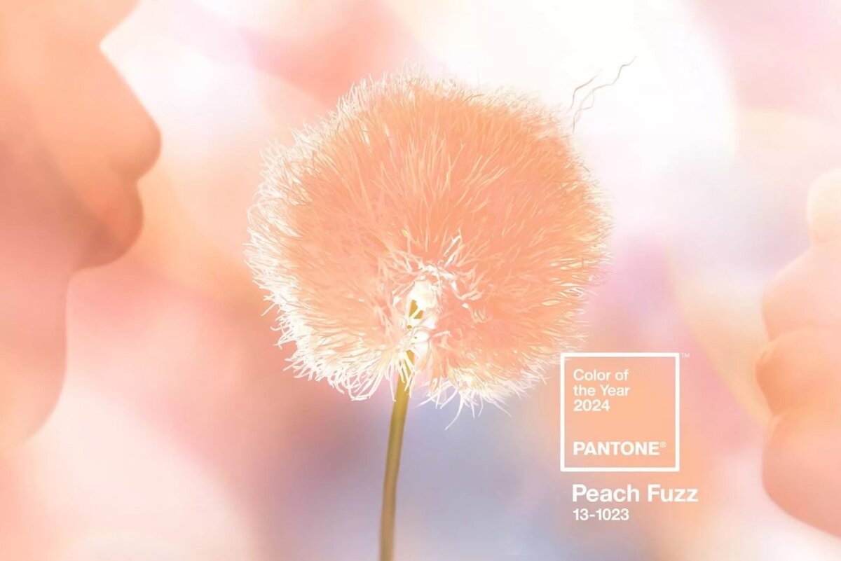   Институт Pantone назвал цвет 2024 года (фото 1)
