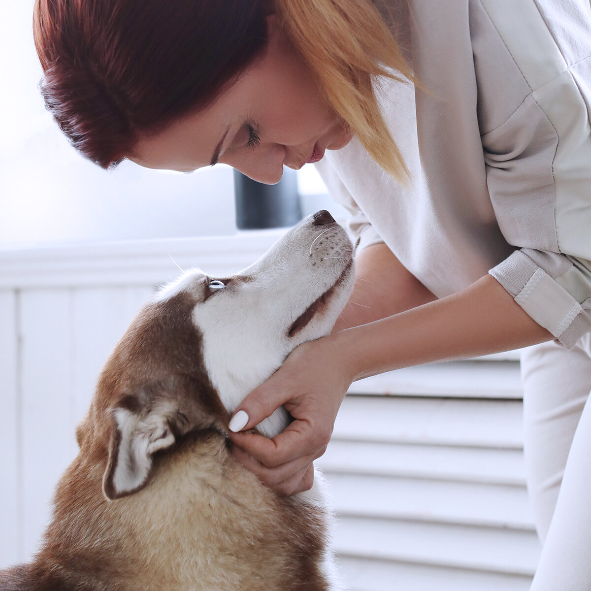 Treats animals. Ritual services for animals для животных.