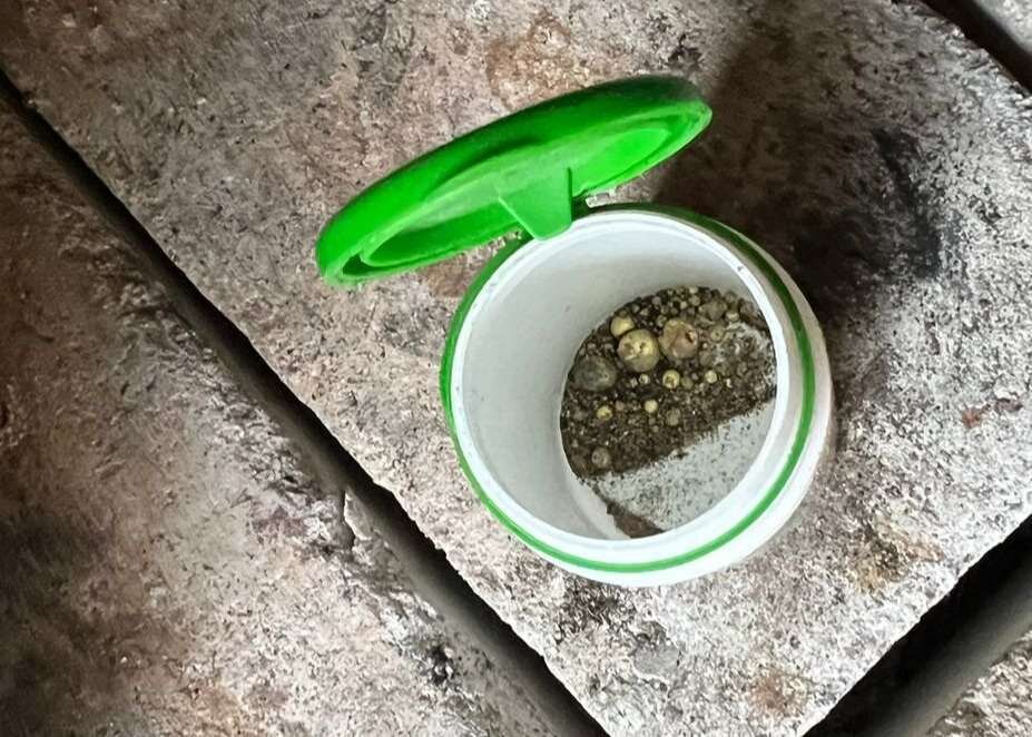    Фото: Пограничное управление ФСБ России по Амурской области