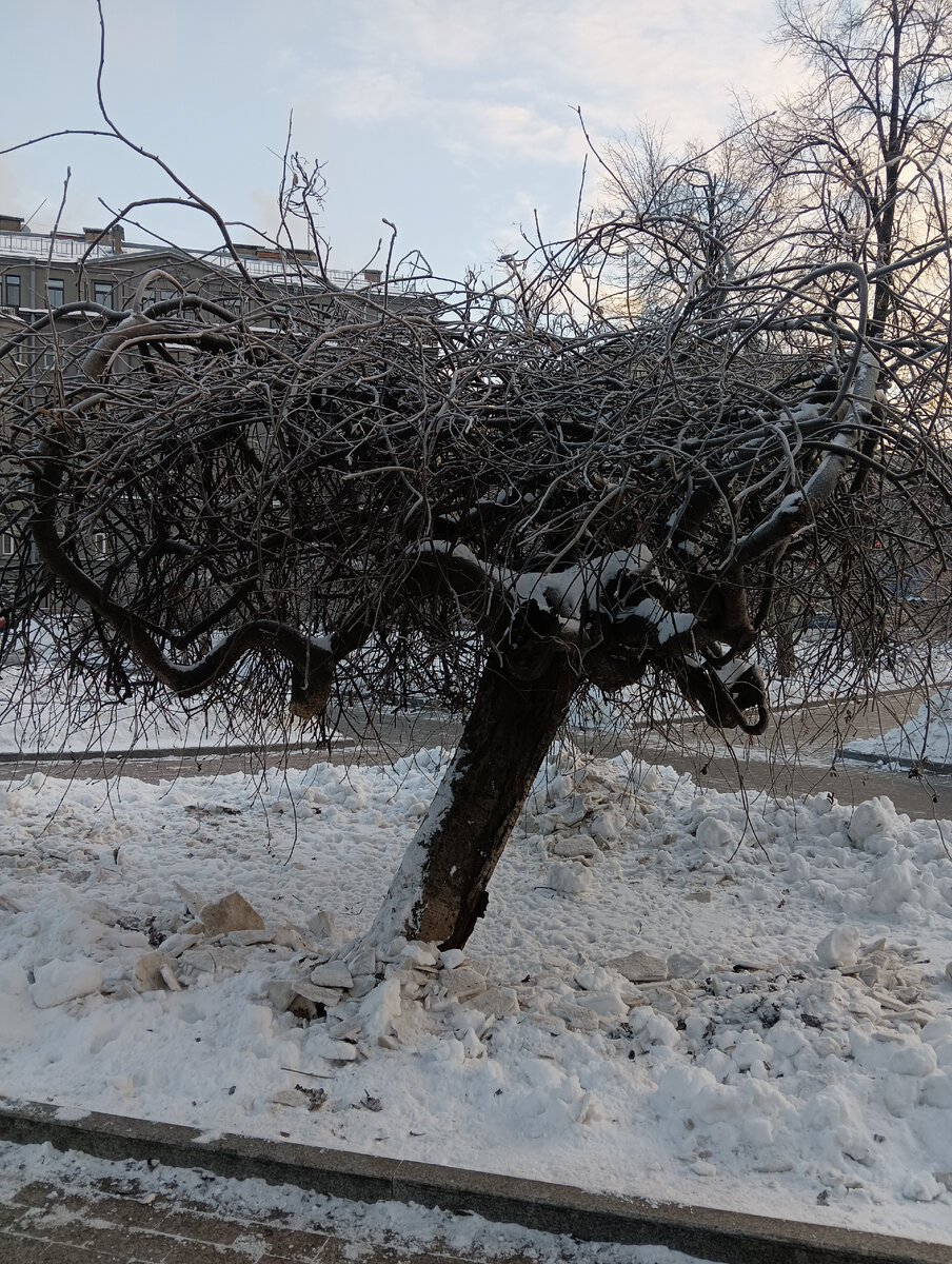 Голые женщины зимой на даче (65 фото)