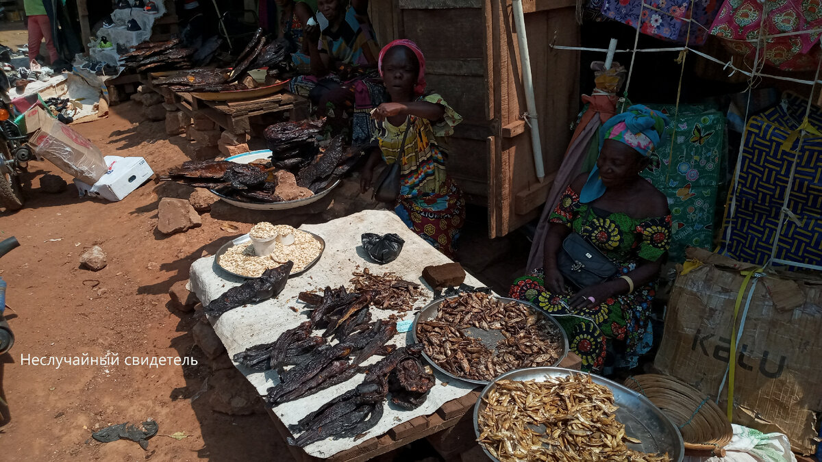Русские в ЦАР: жизнь, быт и атмосфера моими глазами | Неслучайный ...