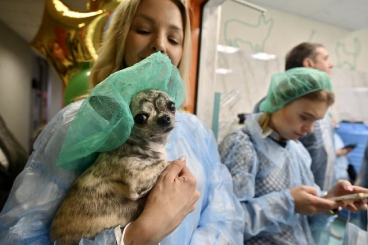    В Екатеринбурге построят зооцентр с ветклиникой