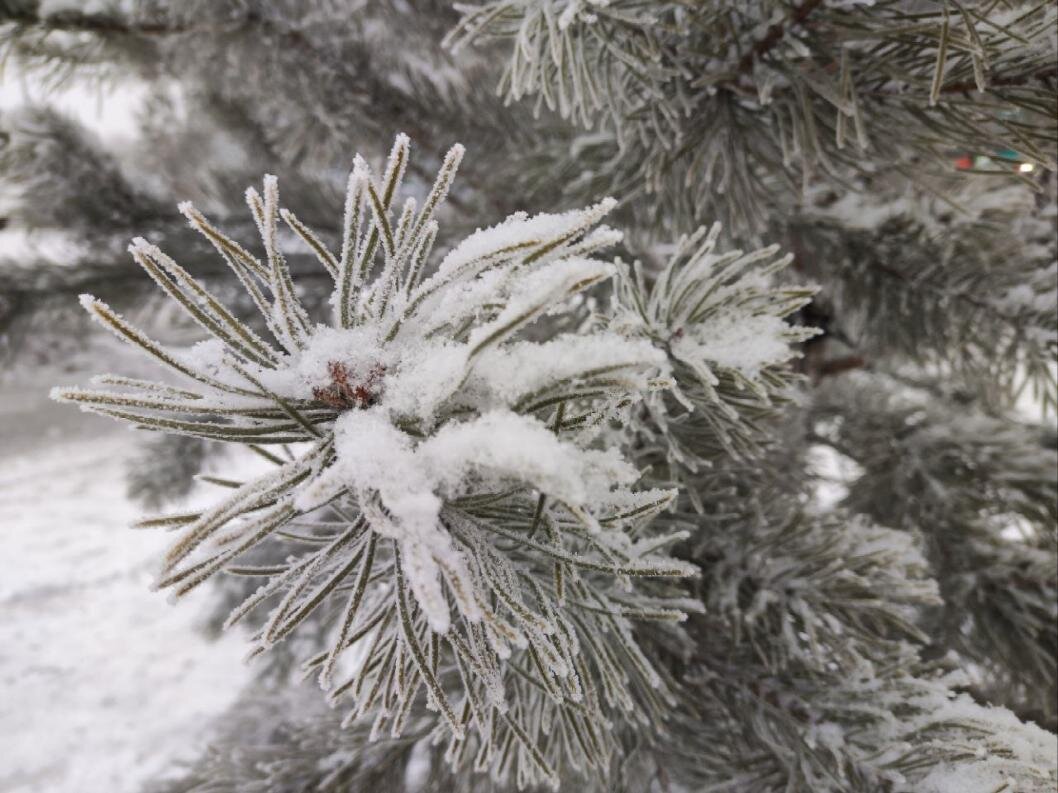 ИА "Тюменская линия"