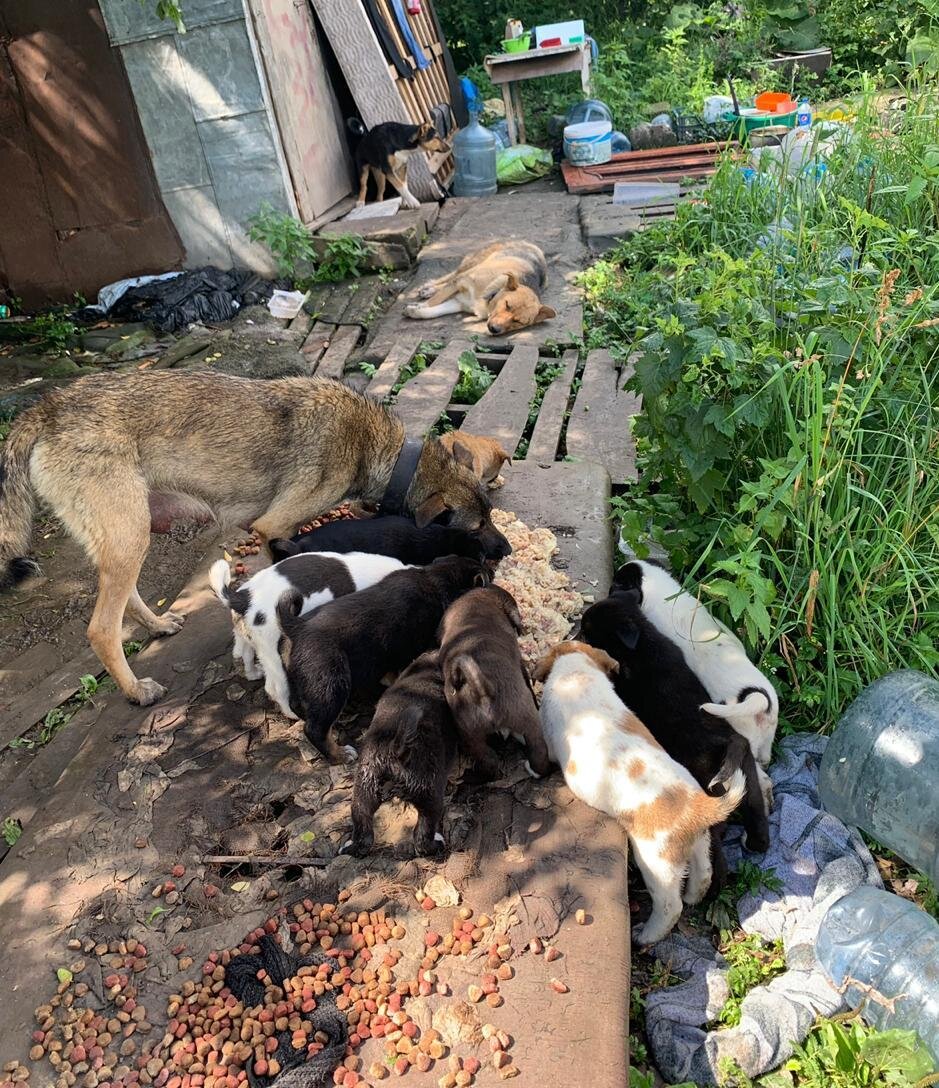 Когда мы это всё увидели, то стояли долго, не понимаю, что нам со всем этим делать