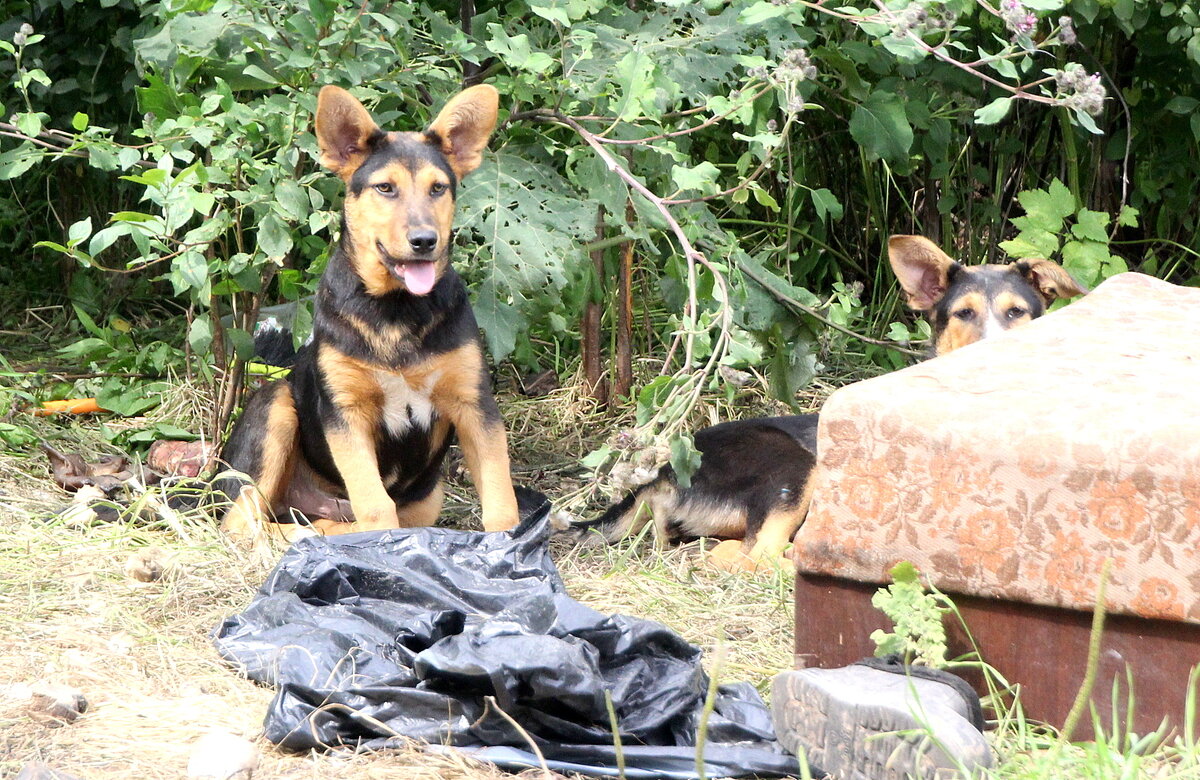 Дарий с сестрой Соней